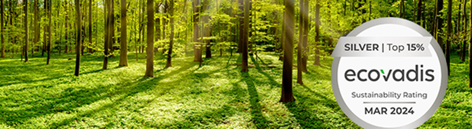 Vital Energi score Silver rating with EcoVadis