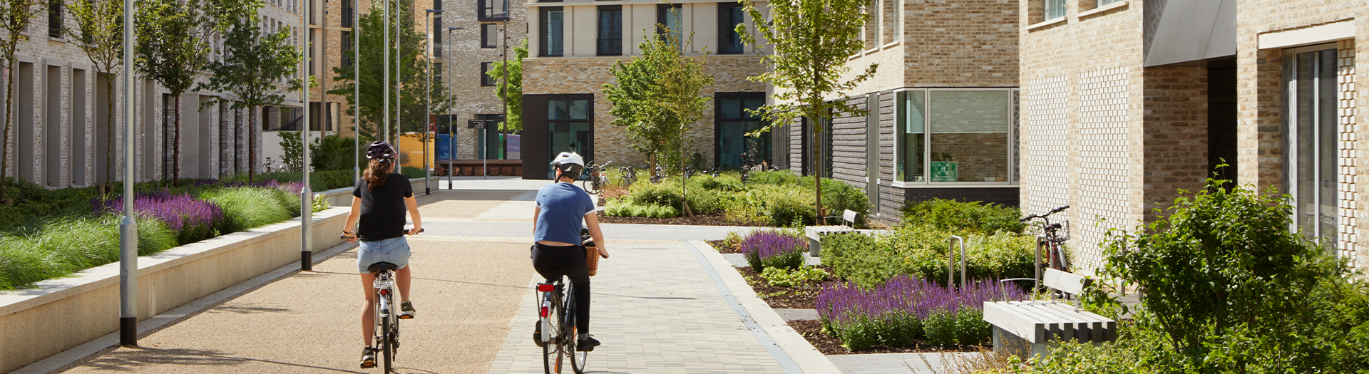 Cambridge residents optimise their energy use thanks to Vital’s new app