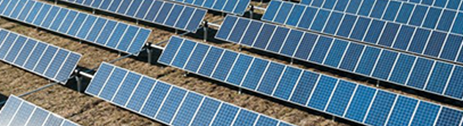 Vital Win Place on £300m NEPO Framework