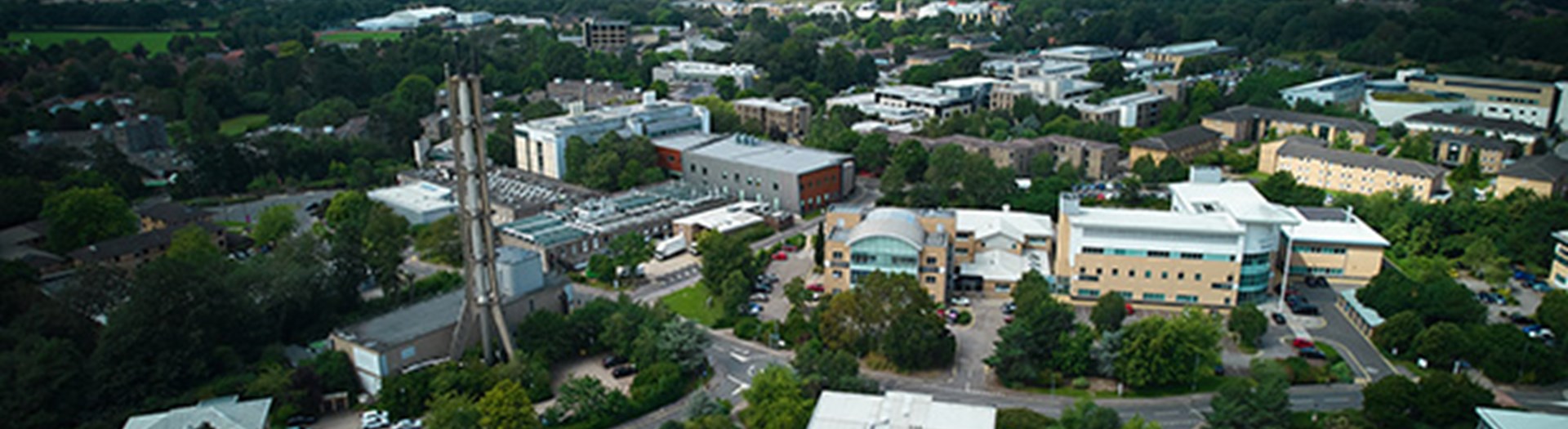 Taking the Disruption Out of Decarbonisation